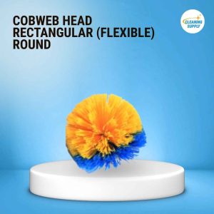 Cobweb Head