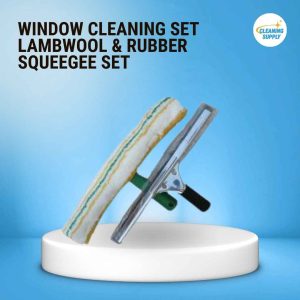 Window Cleaning Set